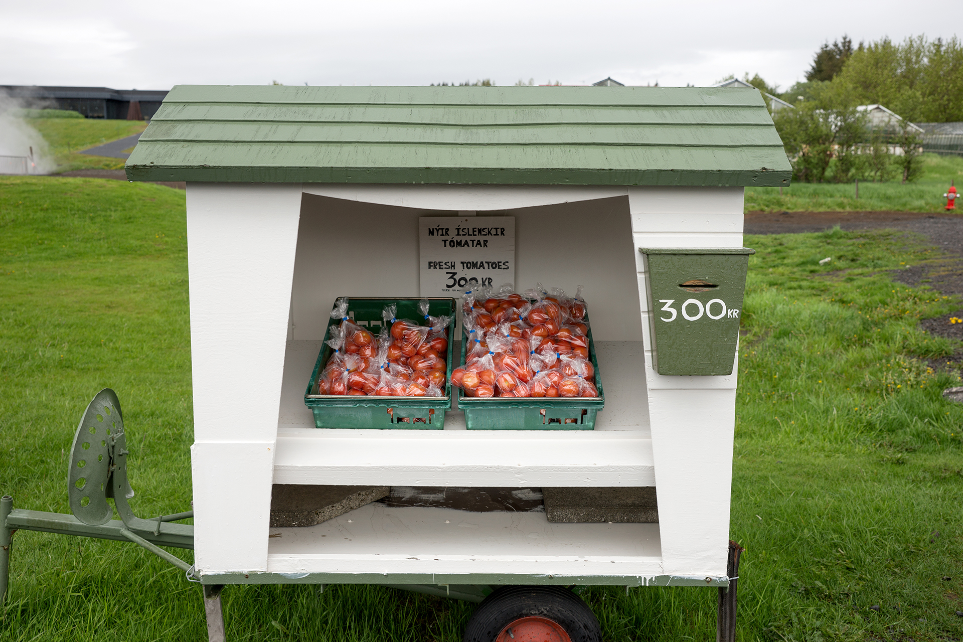 iceland tomato stand fresh produce