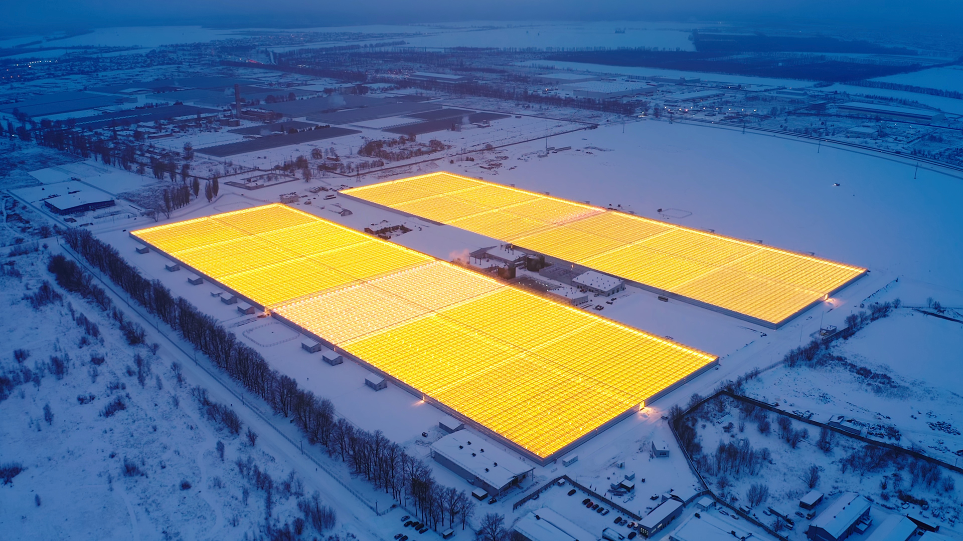 iceland greenhouse crop yield vegetables produce leafy greens agriculture sustainable farming aerial photo of massive greenhouses in iceland vibrant yellow lights winter snow night